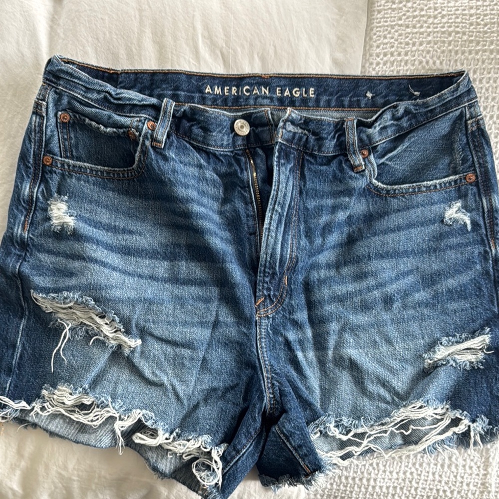 American Eagle Outfitters Blue Distressed Jean Shorts